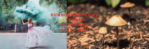 первитин Няндома