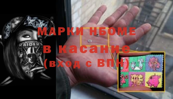 индика Нязепетровск