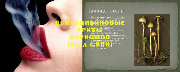 первитин Няндома