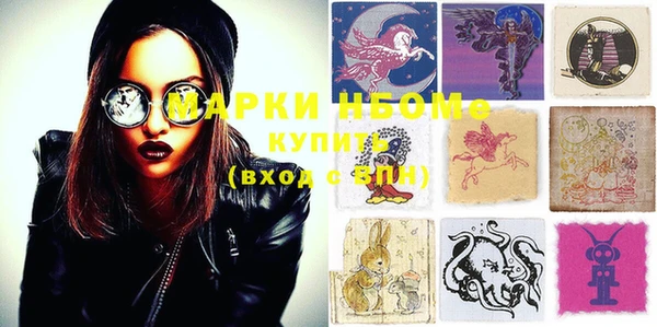 индика Нязепетровск