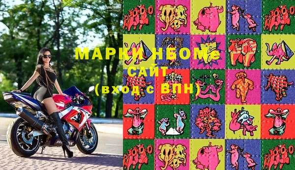 индика Нязепетровск