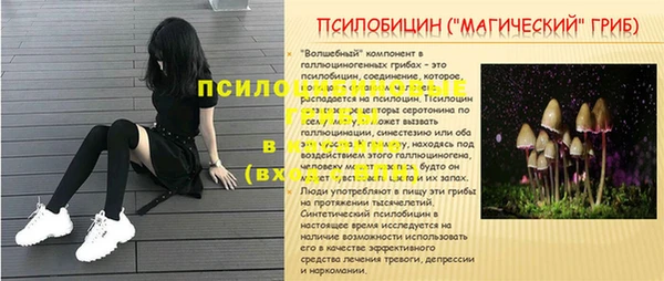 первитин Няндома